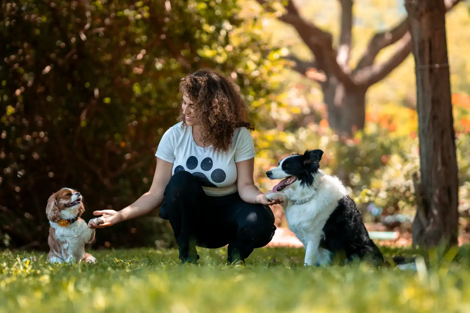 צילומי תדמית לעסק