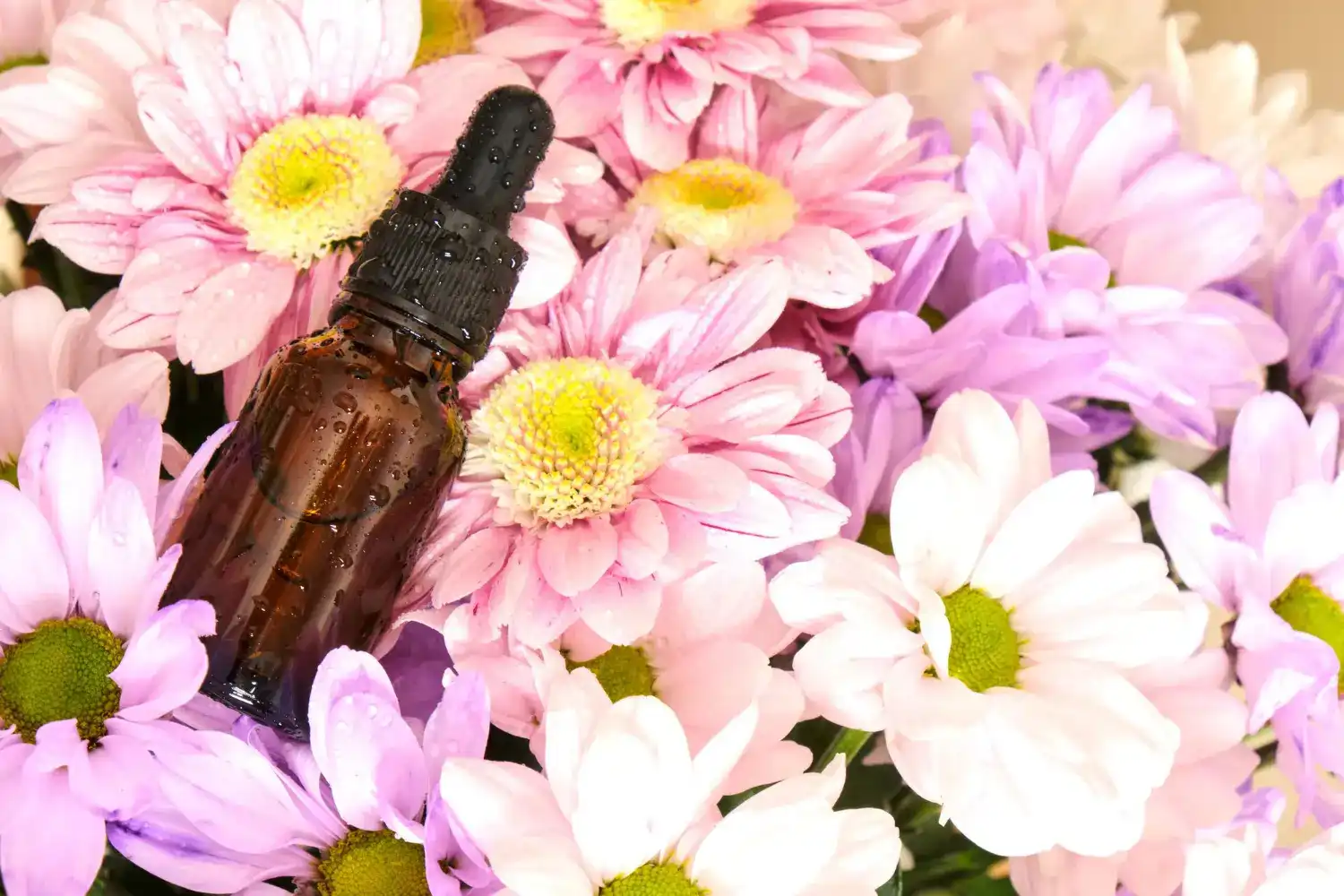 תמצית פרחי באך מוכנה לפי נושא