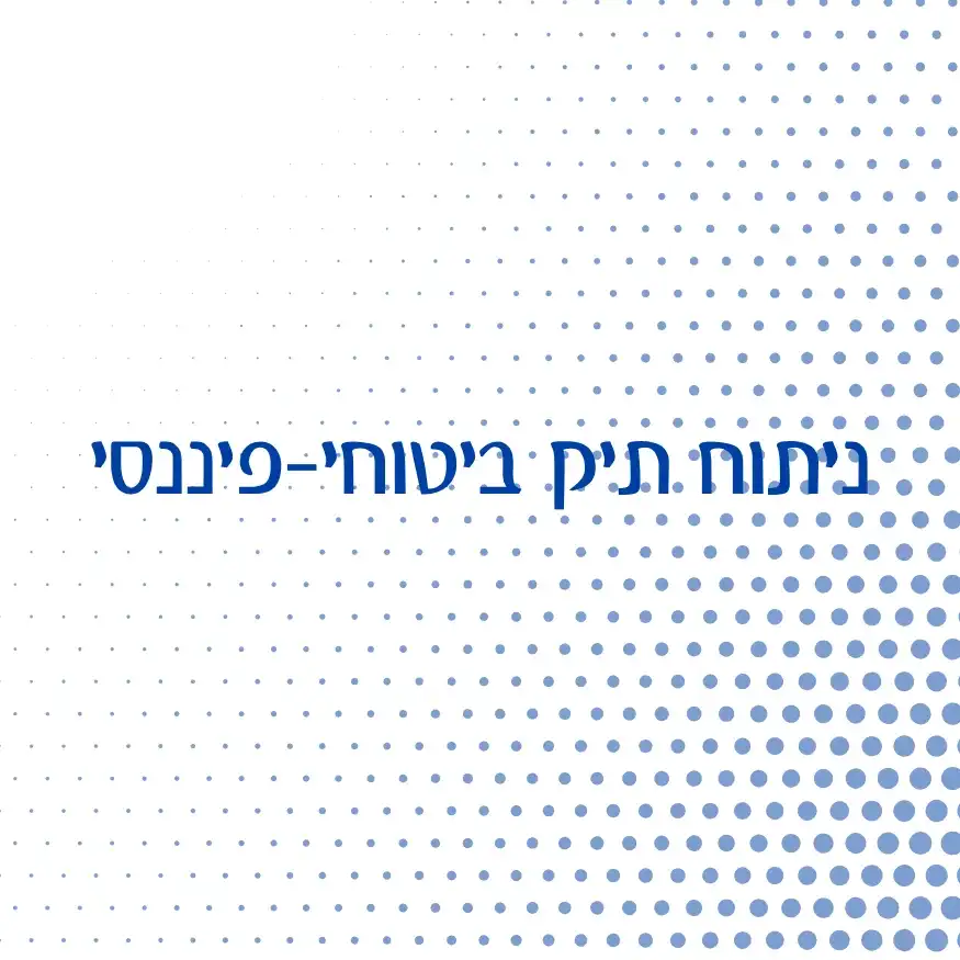 ניתוח תיק ביטוחי‑פיננסי