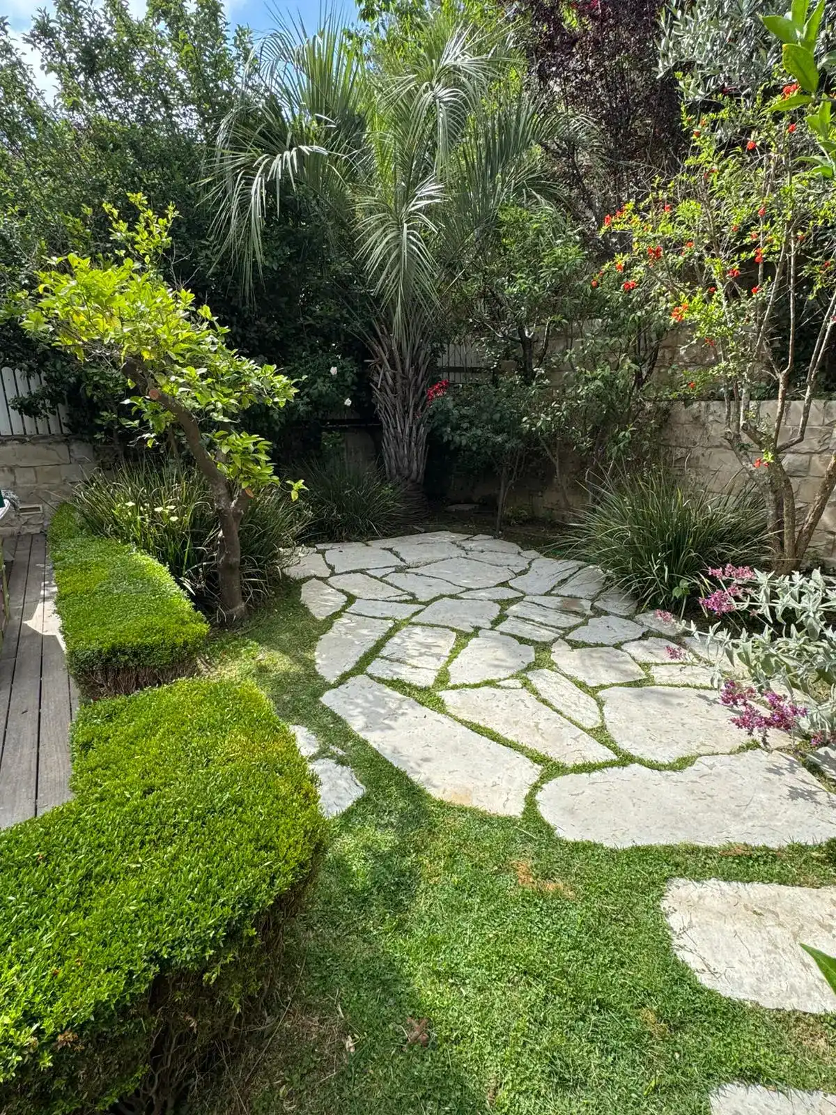 תחזוקת גינות