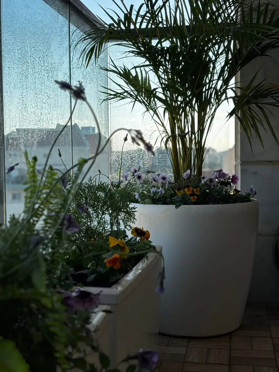 עיצוב הנוף והגינה במספר רב של אלמנטים