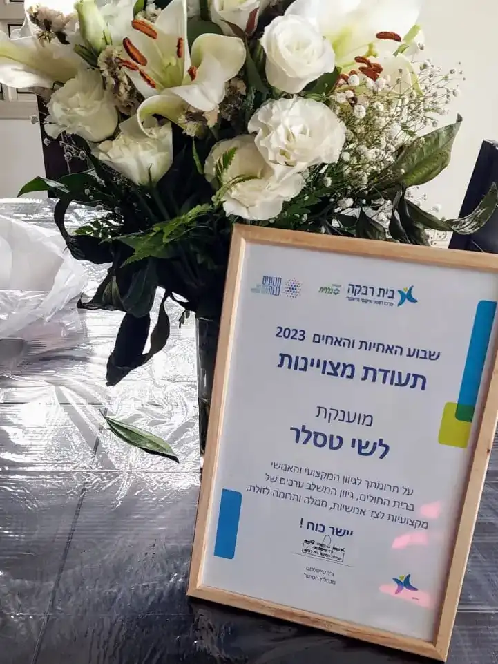 אח מצטיין