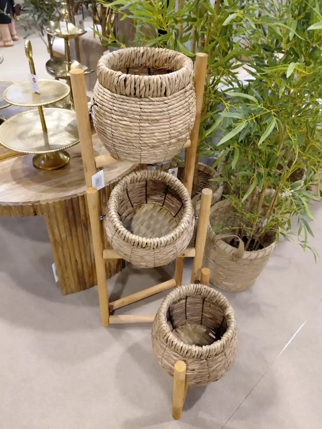 מתקן סלים דקורטיבים