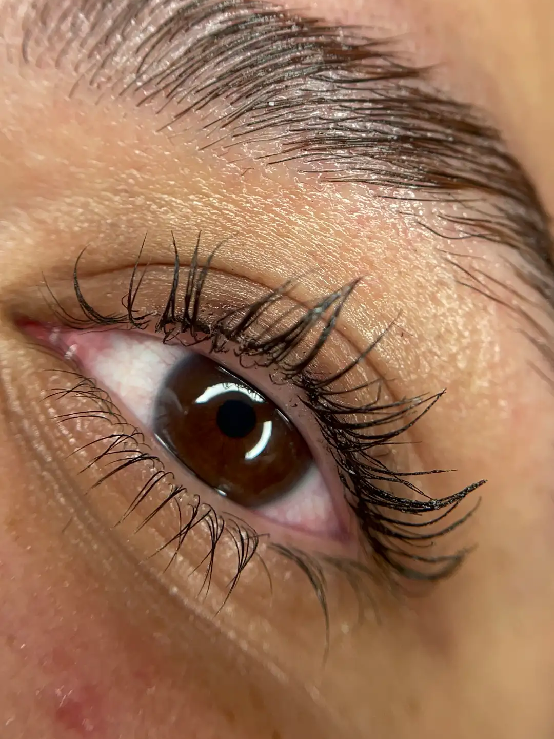 הרמת ריסים + צבע