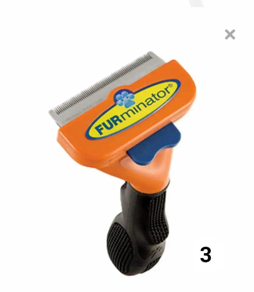 הקיץ הגיע ו.....נהיה חם! הפרווה נושרת בכמויות גדולות ושואב האבק עובד שעות נוספות.