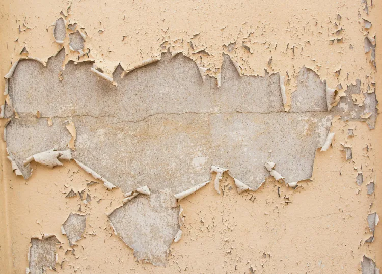 3 טיפים לטיפול בעובש ורטיבות