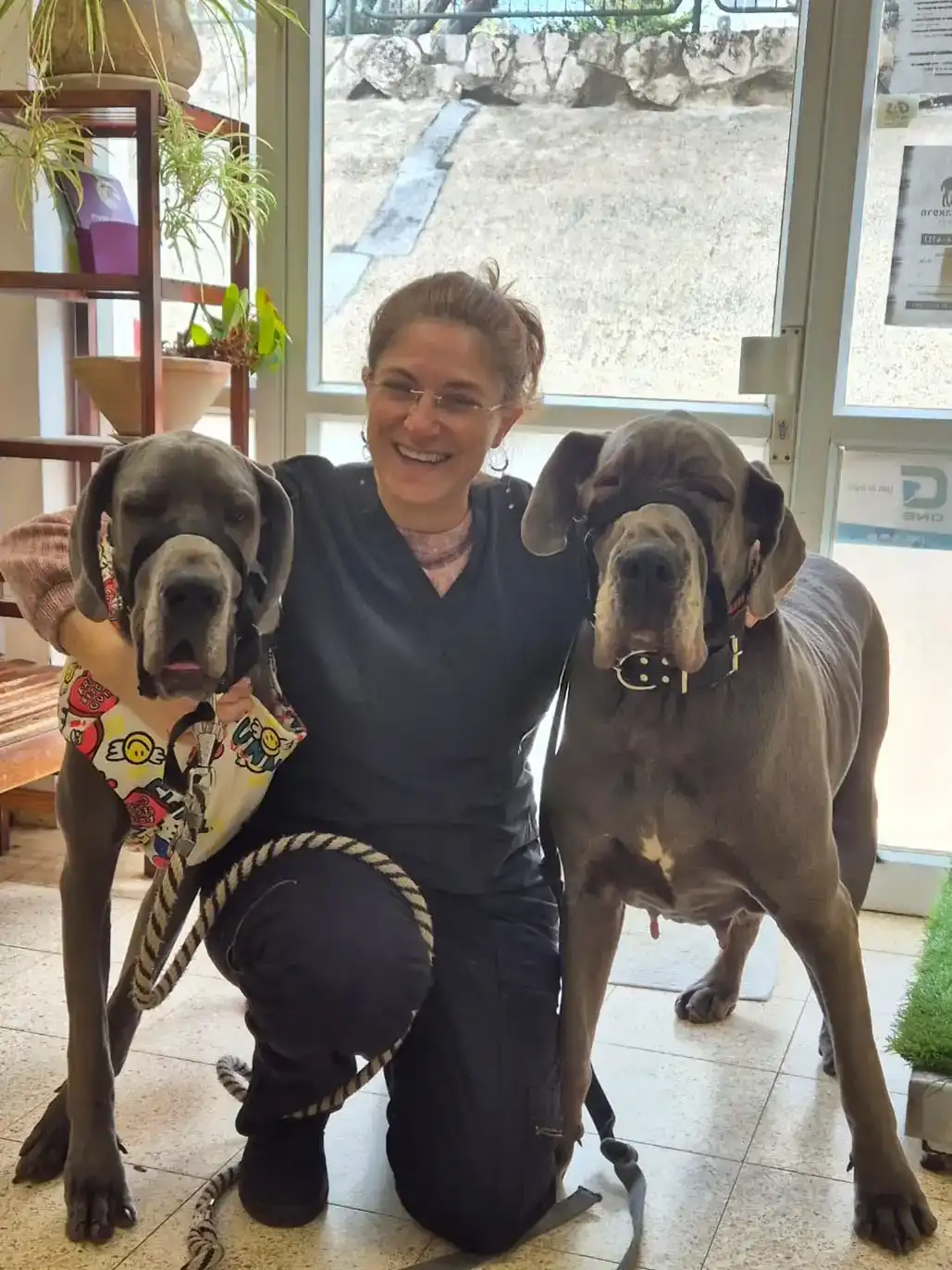 איך להכין את הבית לביקור וטרינר