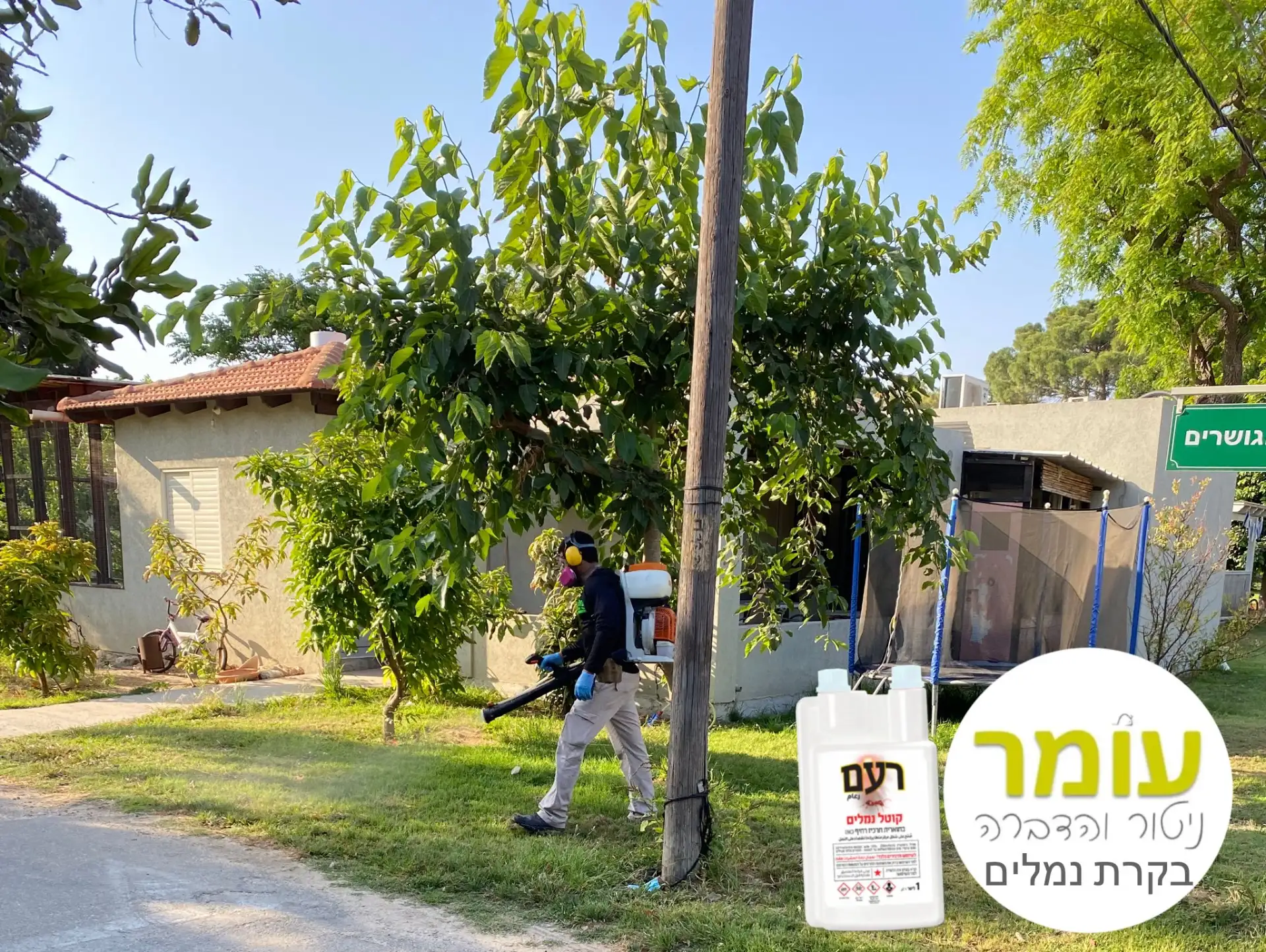 טיפול בנמלת האש – פתרון מקצועי ויסודי| עומר בקרת מזיקים
