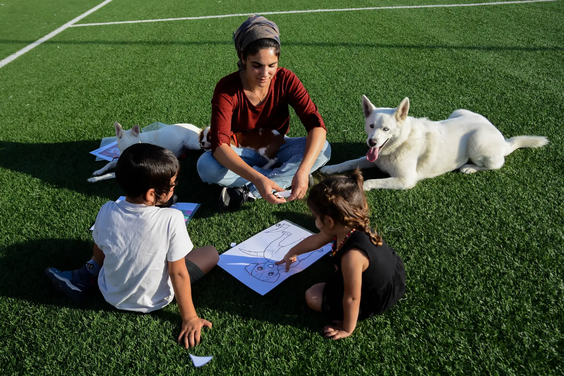 מה עושים בפועל במפגשים שלי?