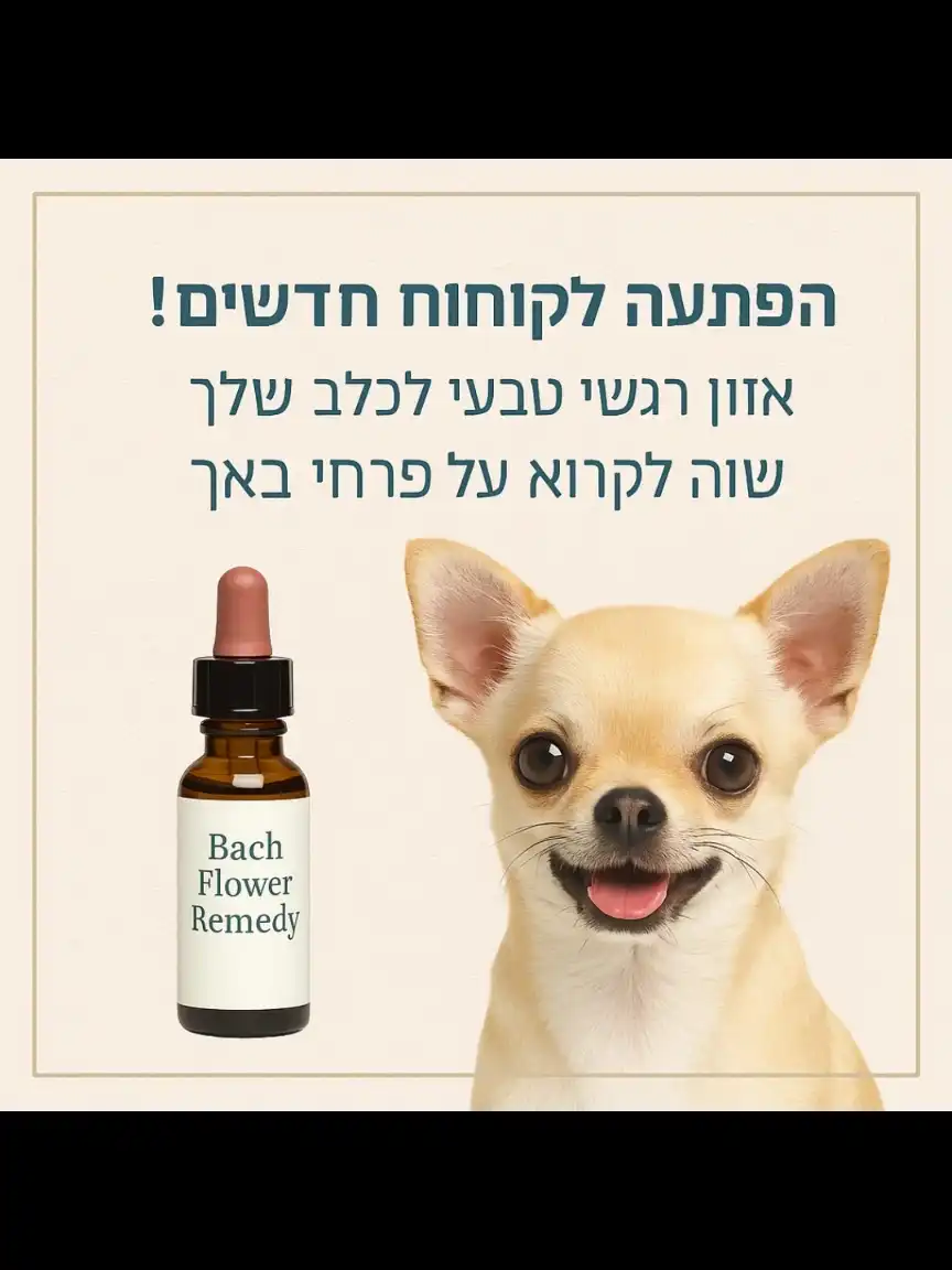 טיפול רפואה משלימה