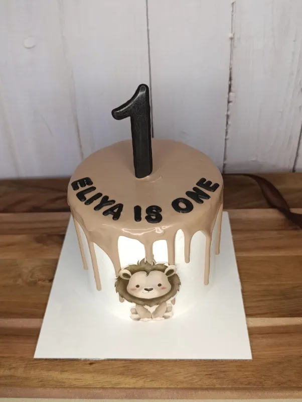 אישית טיפטופי שוקולד ואריה חמוד