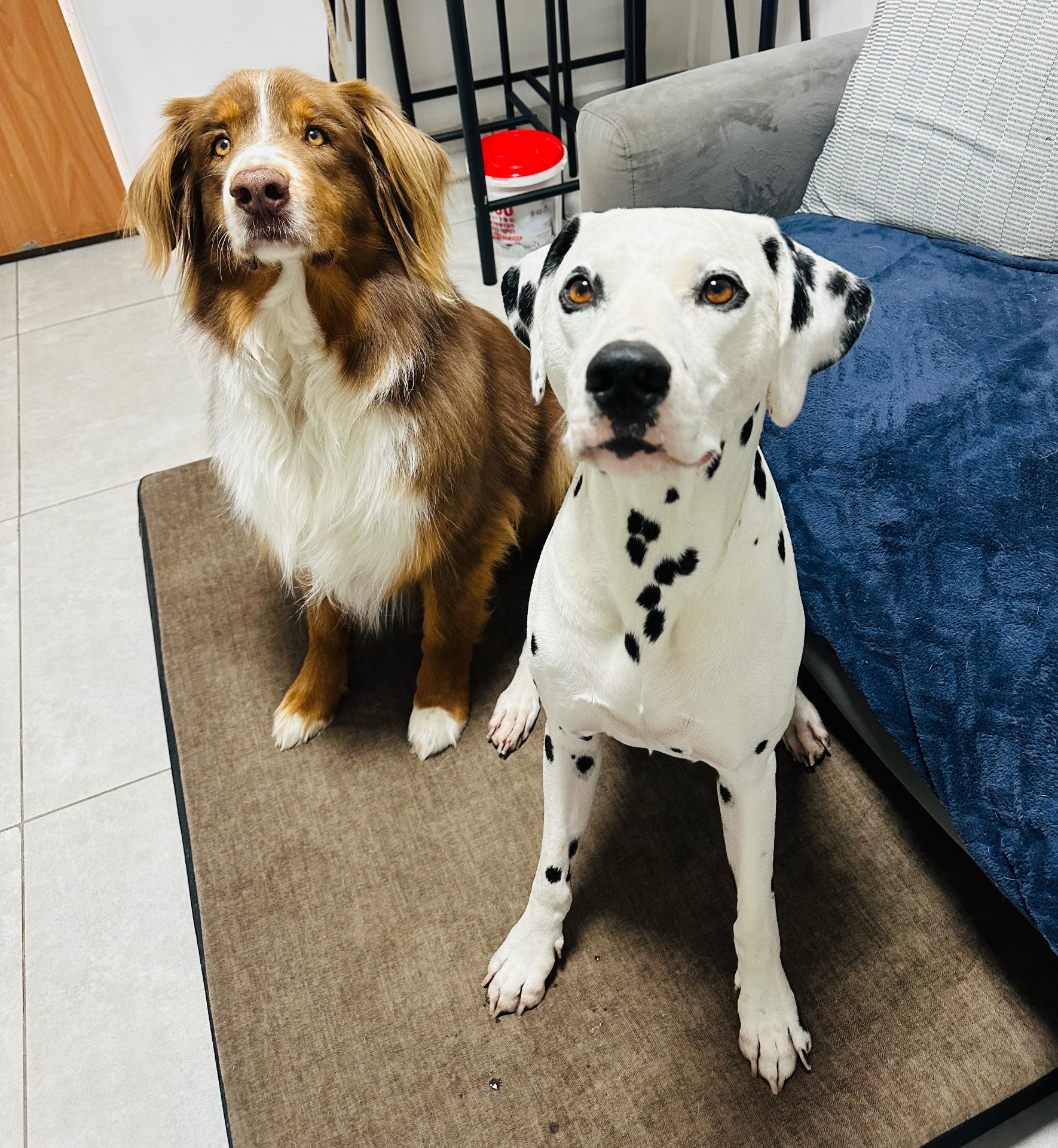 פנסיון שהות