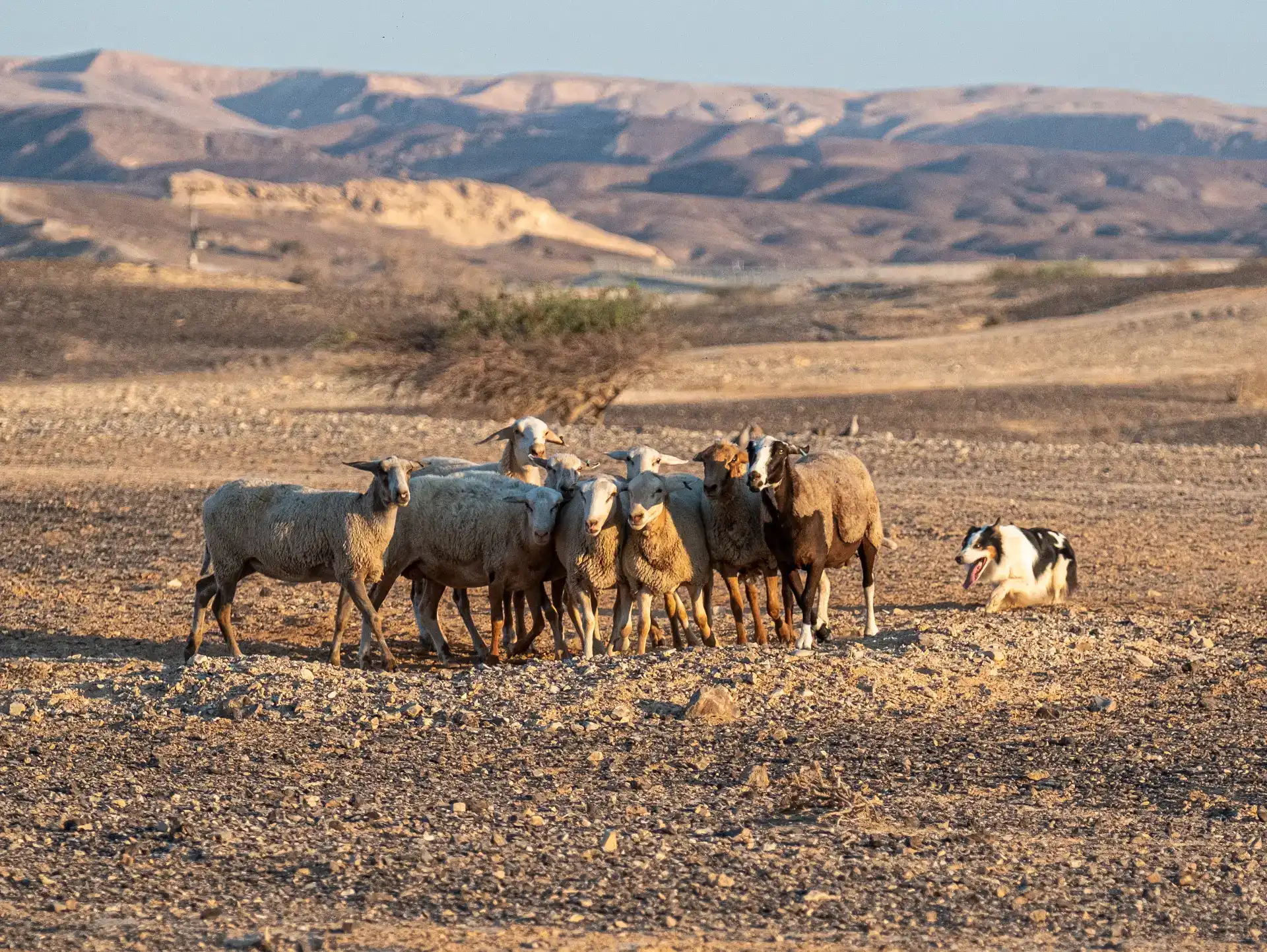 חיבור לטבע ככלי טיפולי - סדנאות עם ערך מוסף