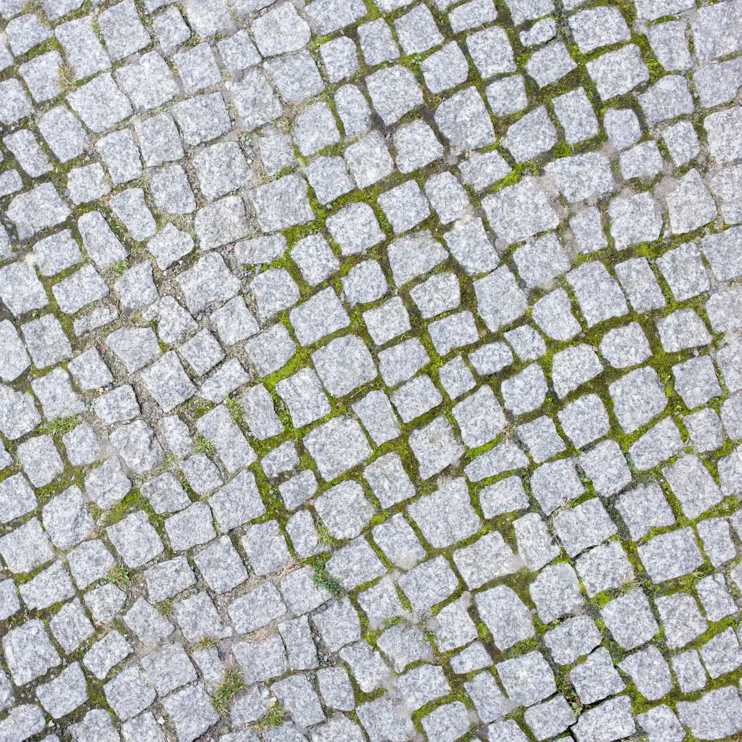 מצעים לחיפוי קרקע