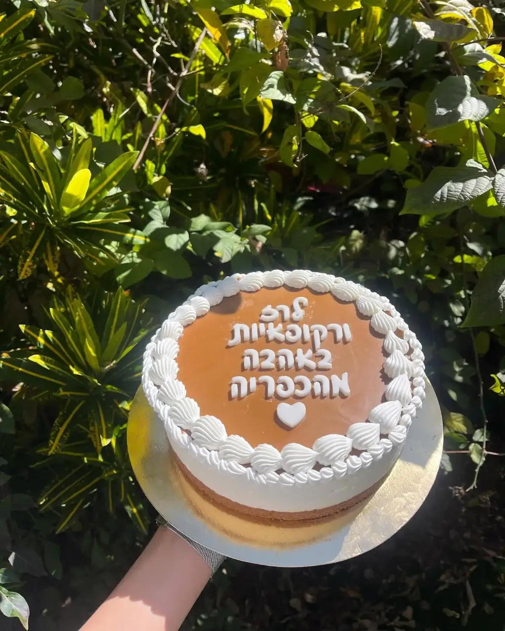 עוגת לוטוס