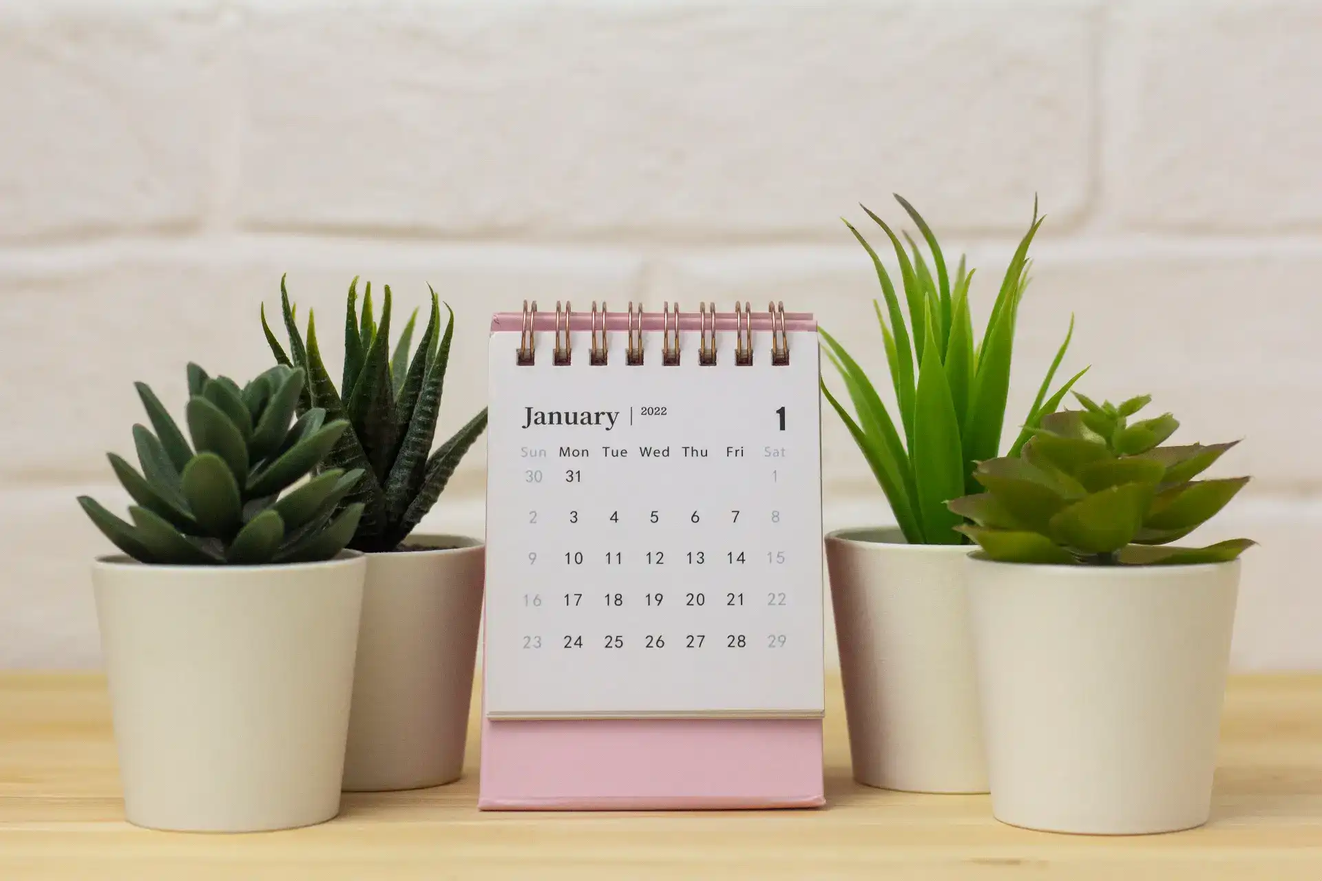 חופשי חודשי