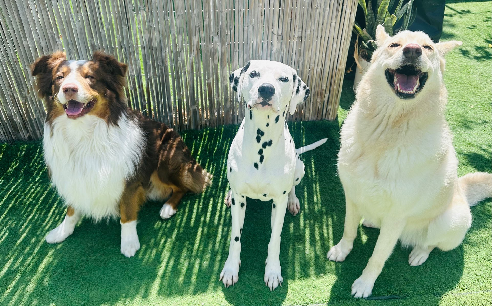 פנסיון שהות