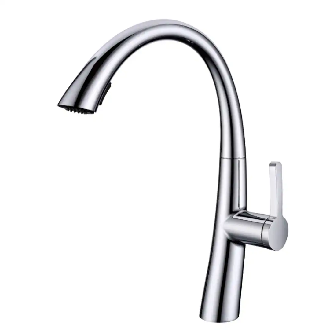 ברז מטבח נשלף 2 מצבי זרימה