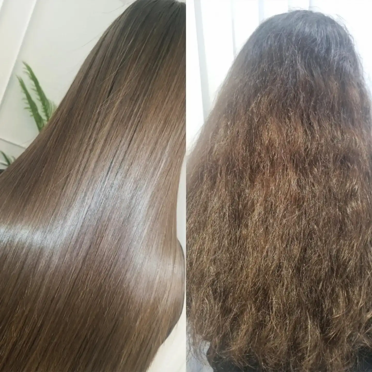 החלקה אורגנית