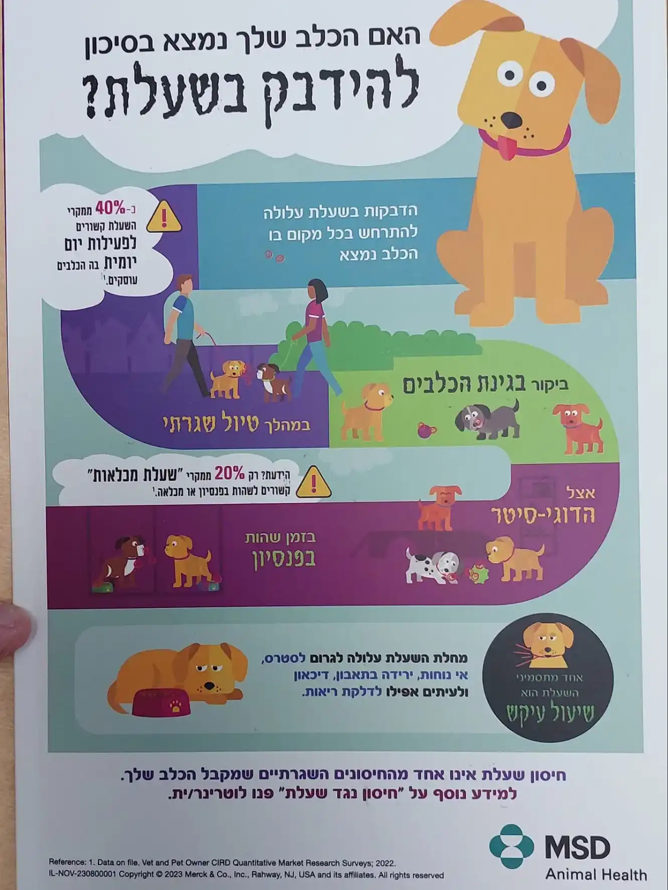 עונת השעלת בעיצומה!