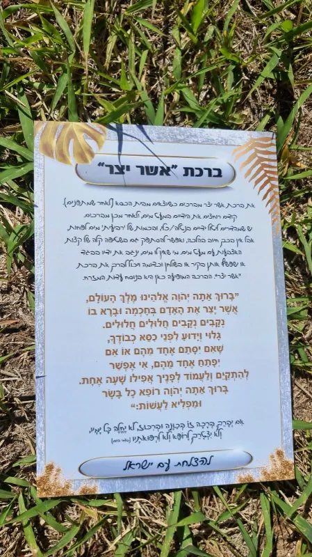 מגנטים בכל הגדלים