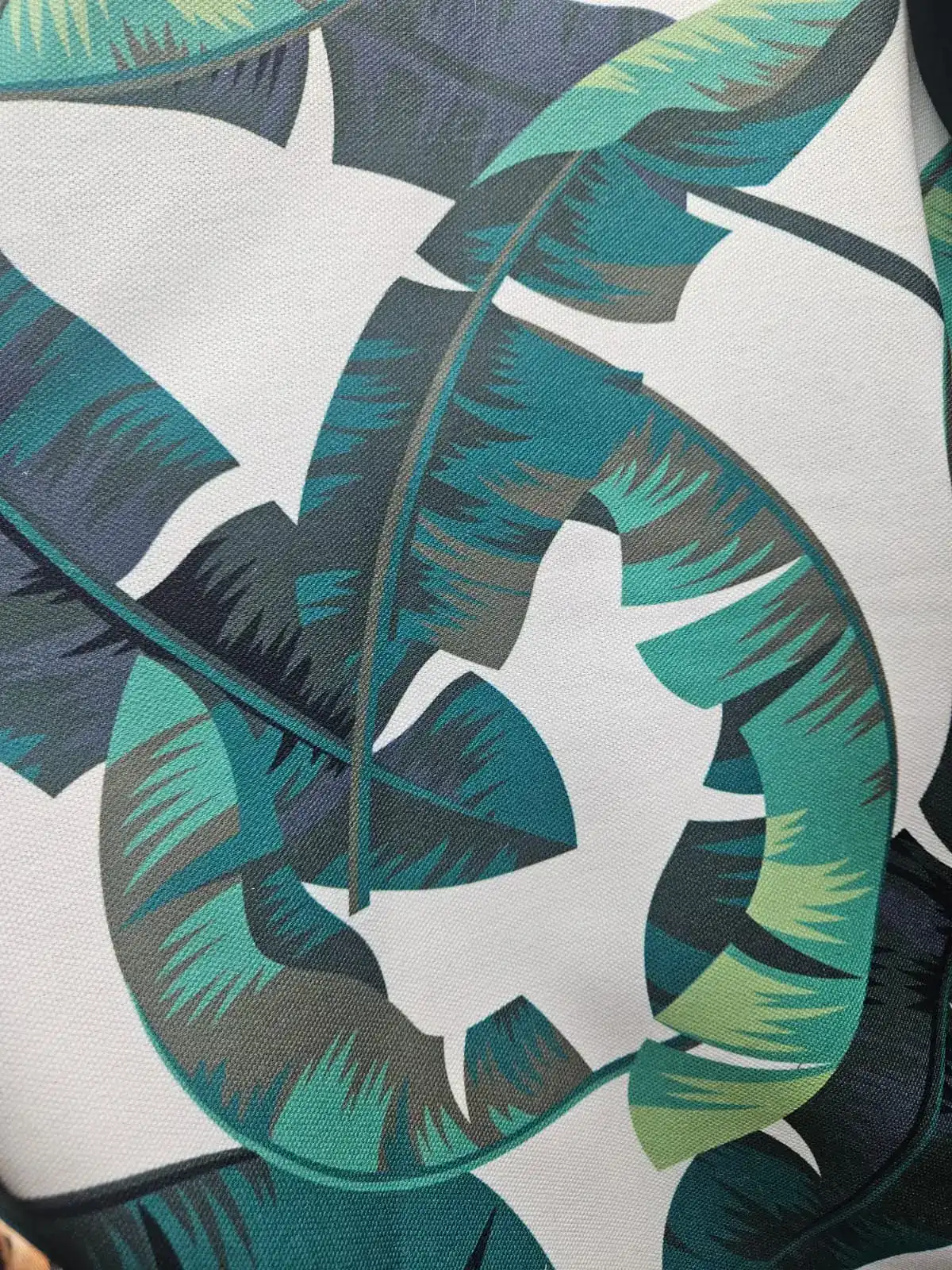 בד קאנווס דיגיטלי