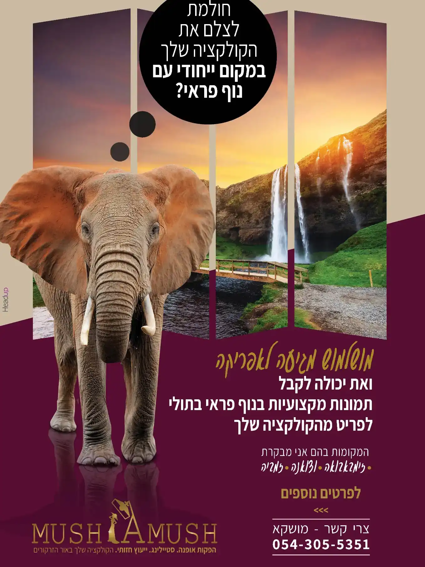 בניית מותג ל'מושלמוש' - הפקות אופנה - באור הזרקורים