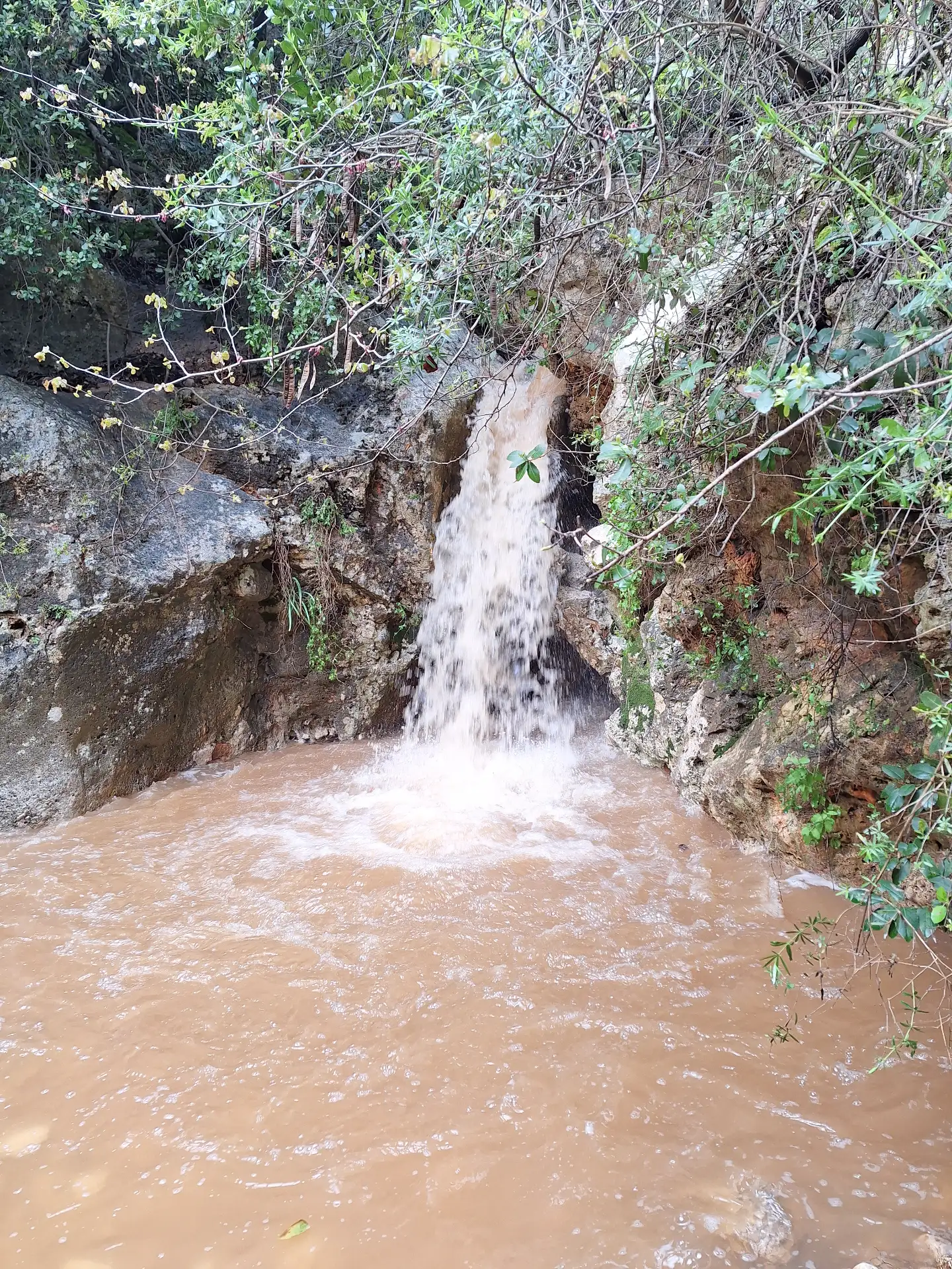 ואדי קסום עם מערות, תצורות סלע מרשימות ומים זורמים ומפלונים קטנים ממש מתחת ליורט