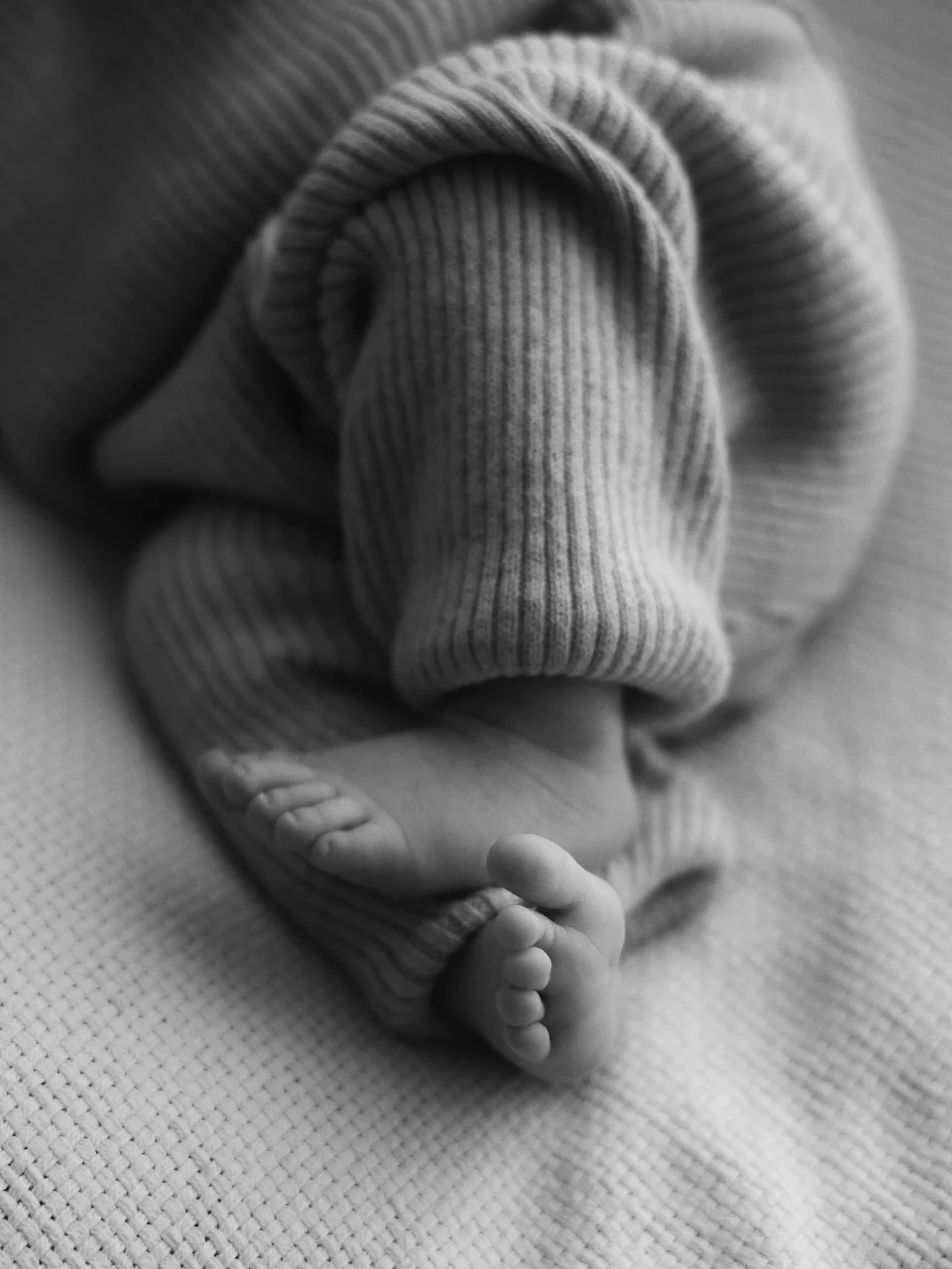 מתי הזמן הכי נכון לצילומי ניו בורן?