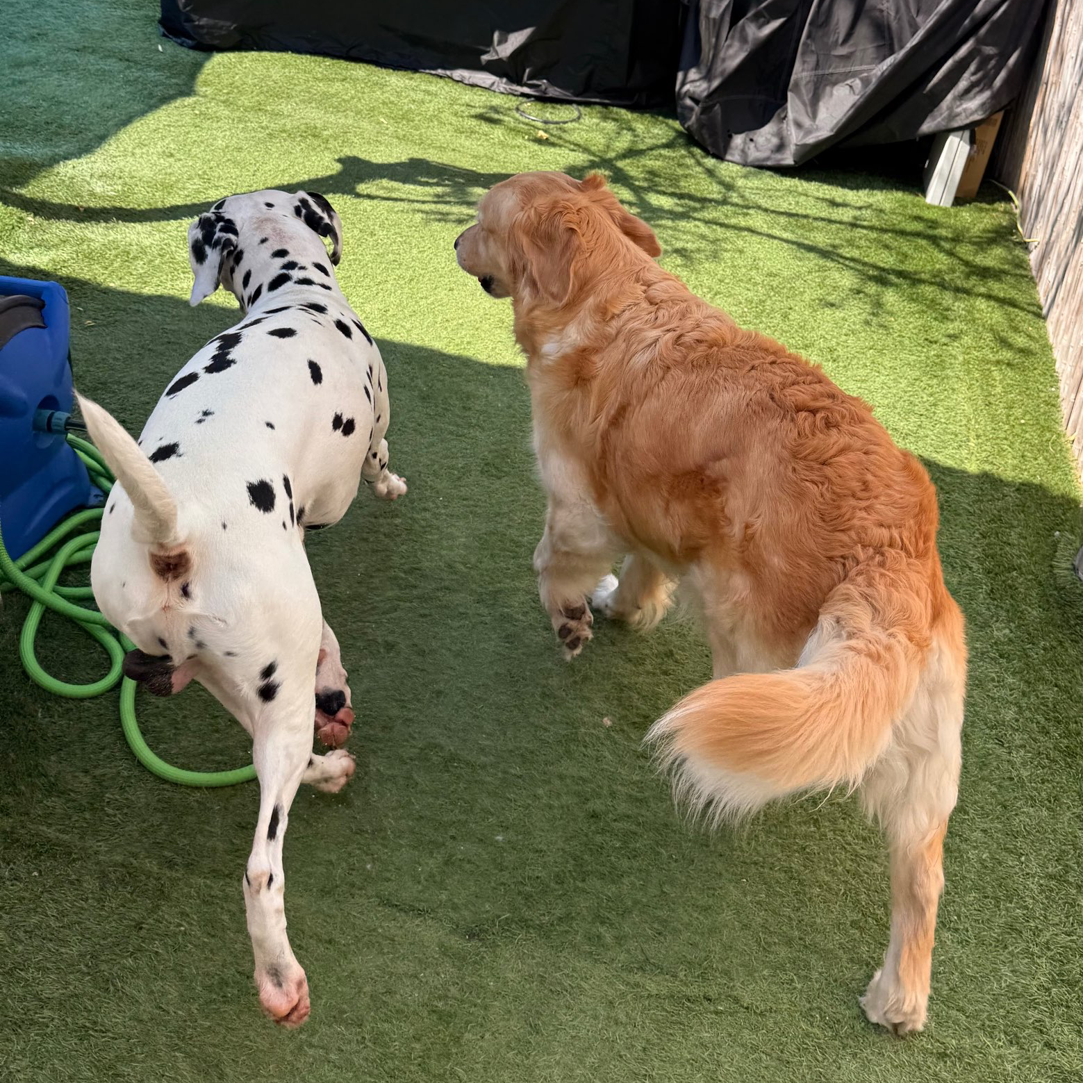 פנסיון שהות