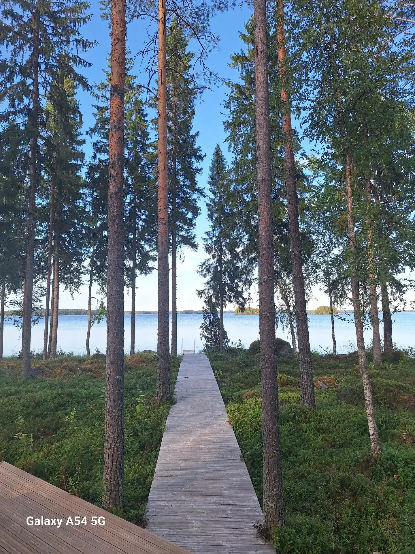 תמונות ביצוע