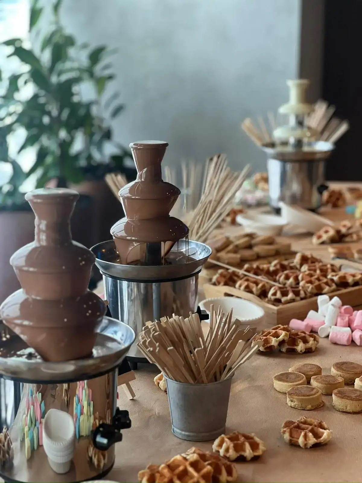 מגשי אירוח לאירועים