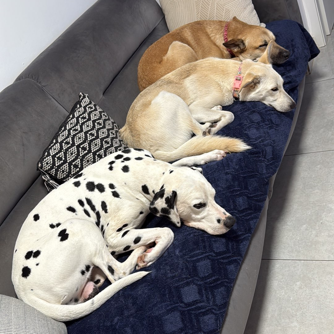 פנסיון שהות