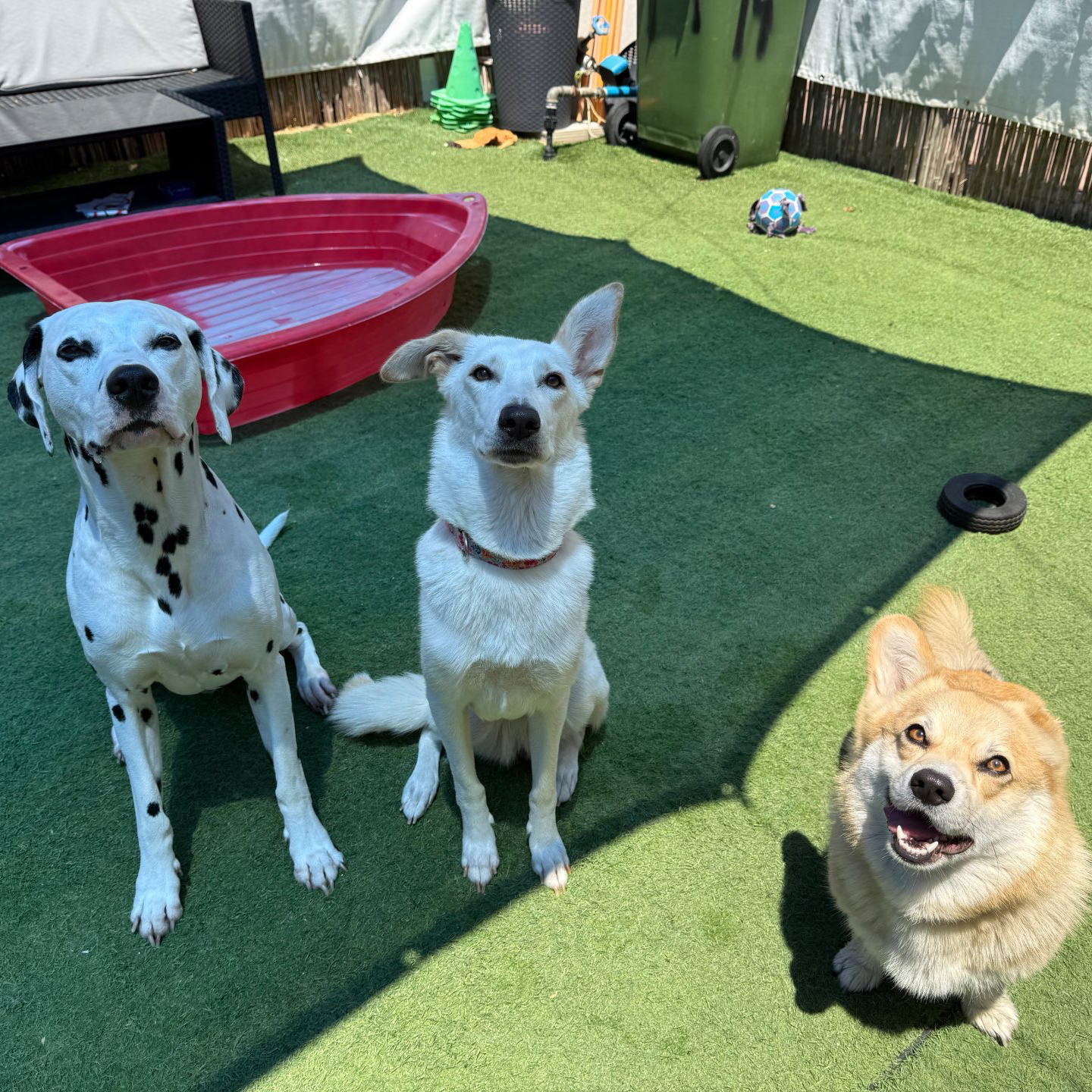 פנסיון שהות