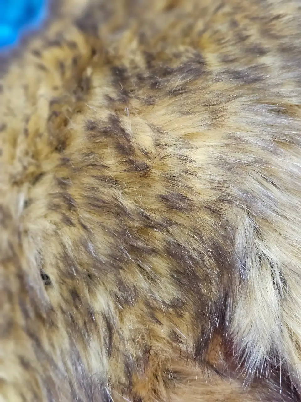 פרווה שיער ארוך מיוחדת