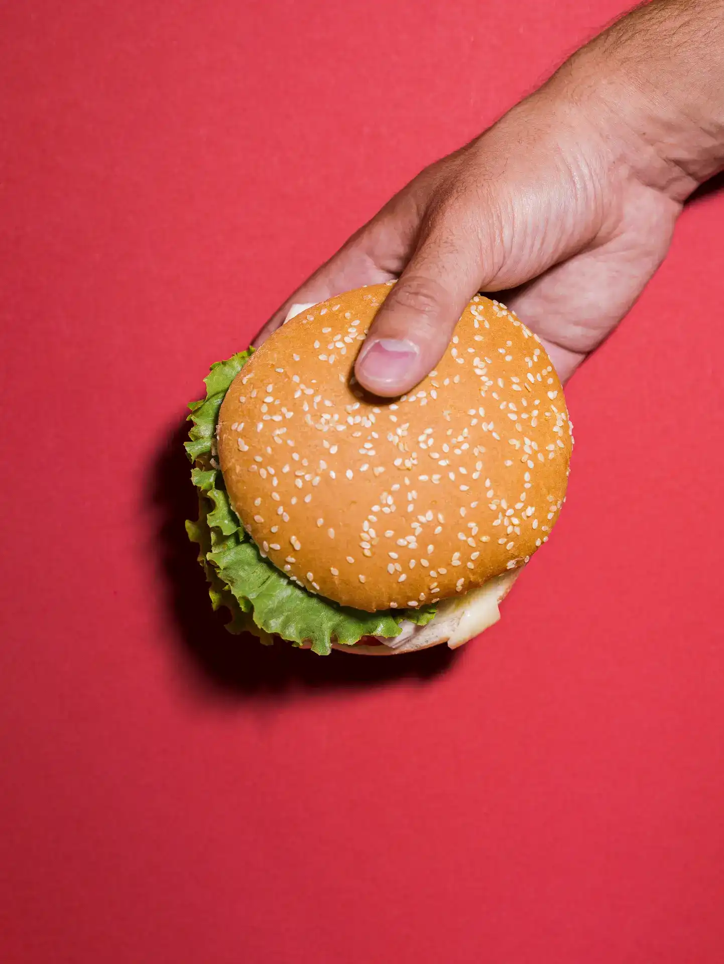 איך מוזס סביון משלב בין איכות רשתית לבין חוויה יוקרתית המותאמת למיקום?