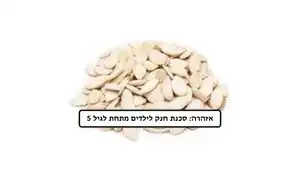 גרעיני דלעת קלוי (250 גרם)