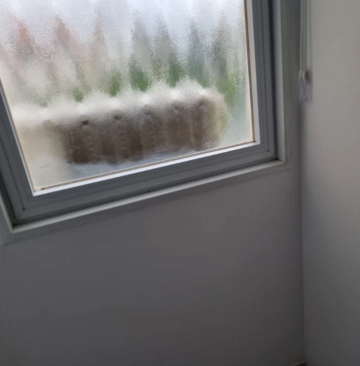 טיפול בבעיות רטיבות