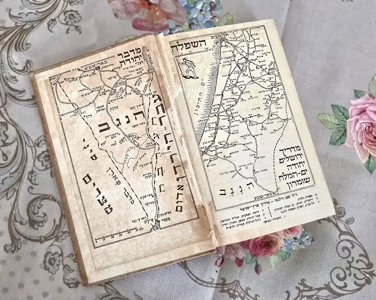 מדריך ארץ ישראל, תל אביב השרון, השפל והנגב- ד"ר זאב וילנאי, 1955