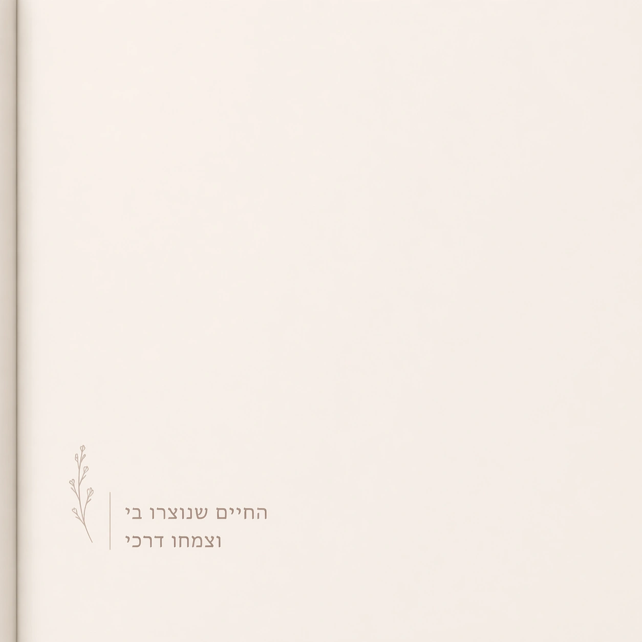 סיפור הלידה שלי (ספרון)