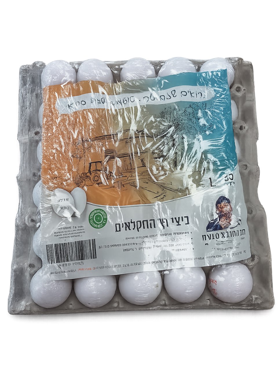 תבנית ביצים גודל L
