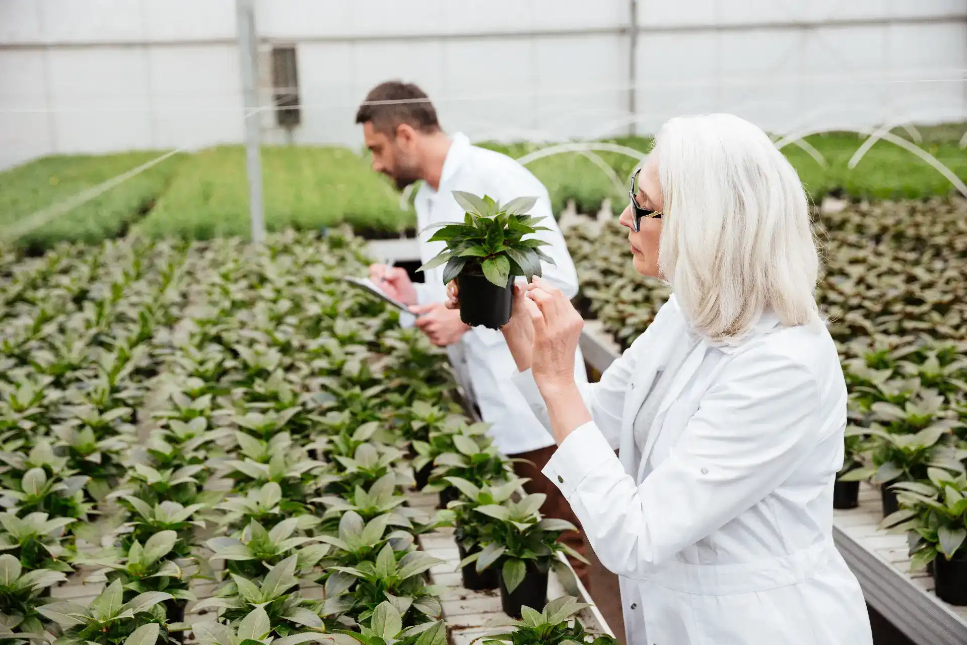 תכנון גינה אקולוגית – למה תכנון מוקדם חוסך טעויות וכסף