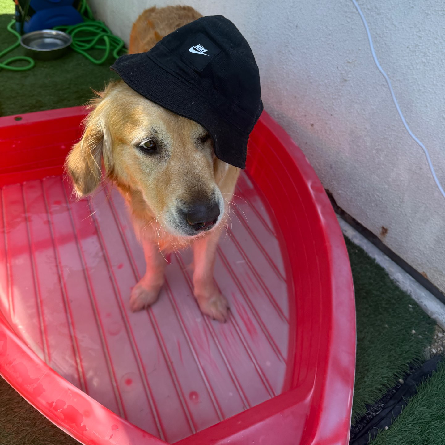 פנסיון שהות