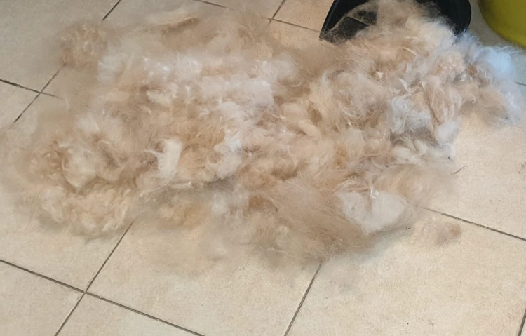 פתיחת קשרים, טיפוח ודילול פרווה