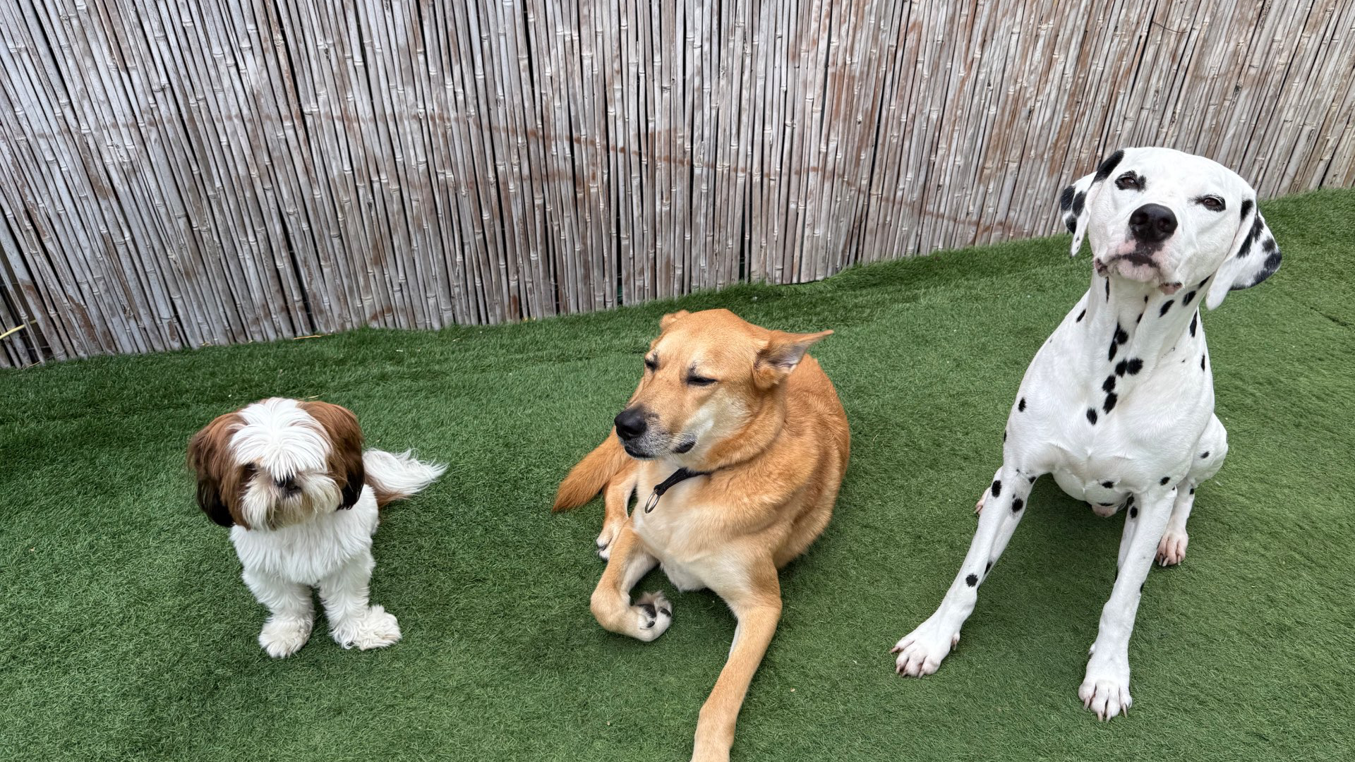 פנסיון שהות