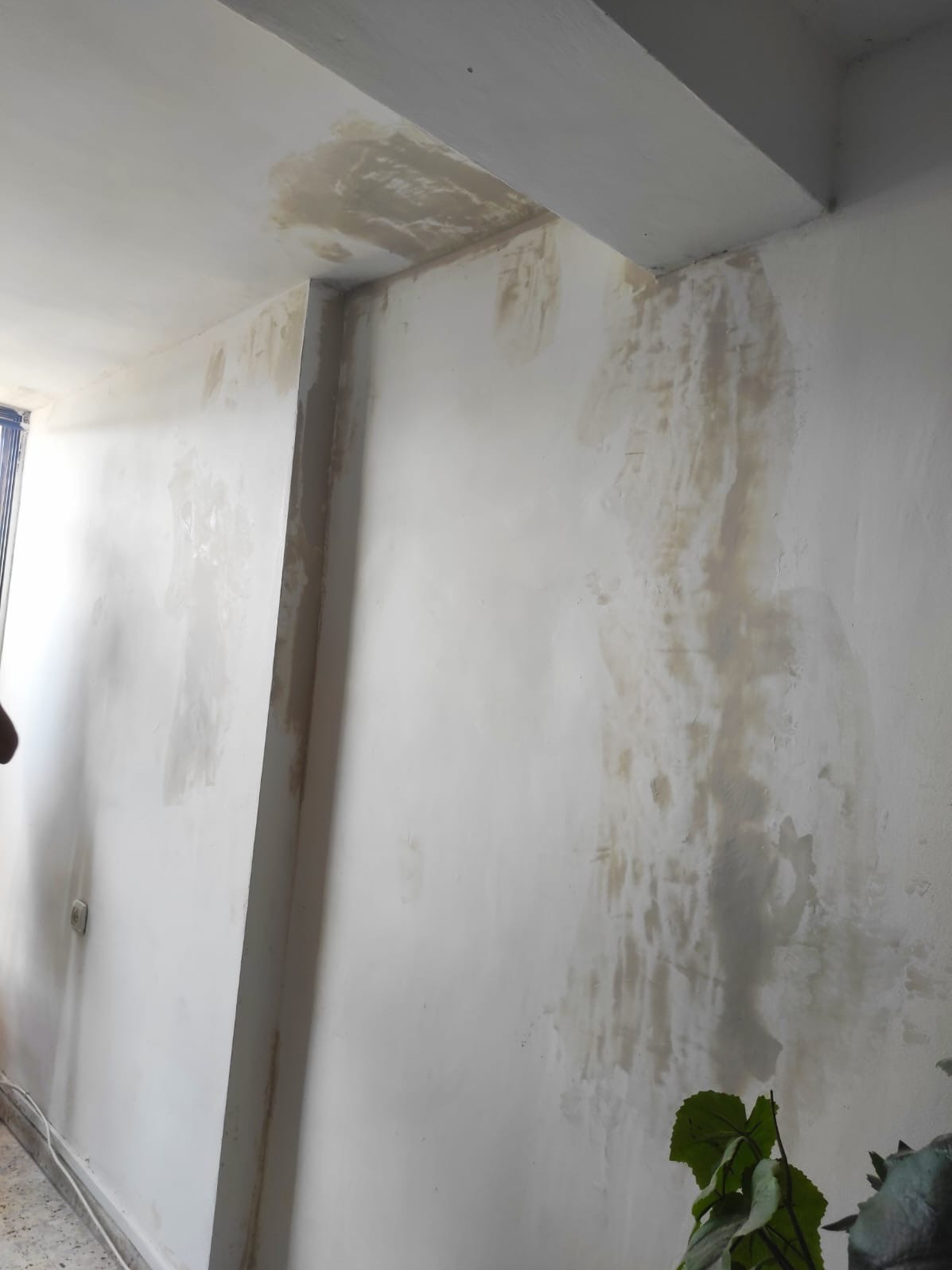  חידוש קיר אחרי תיקונים והחלקת שפכטל 