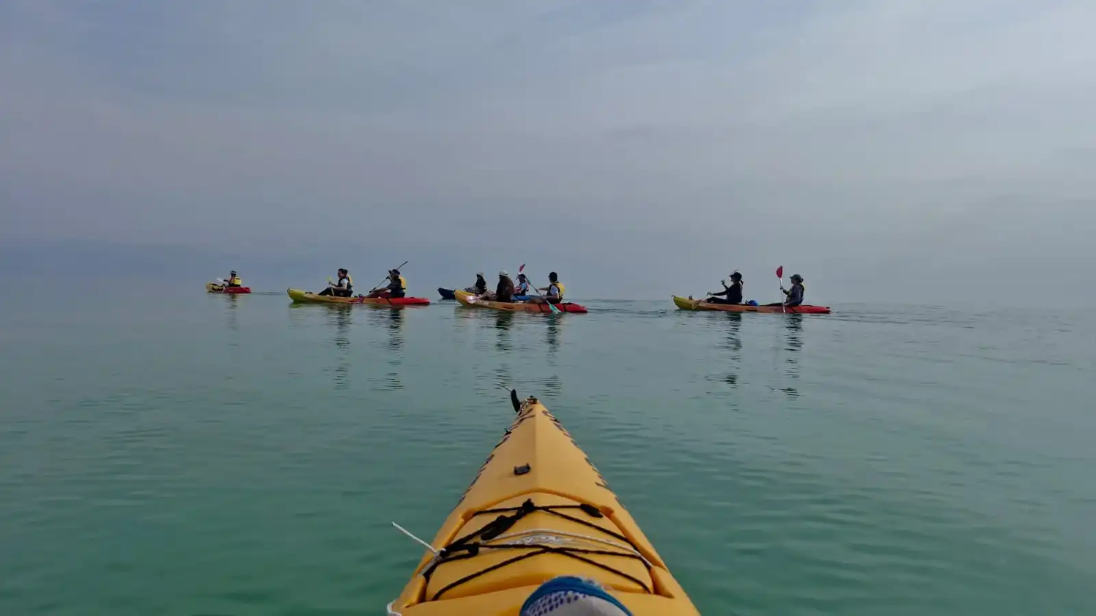 טיולי משפחות