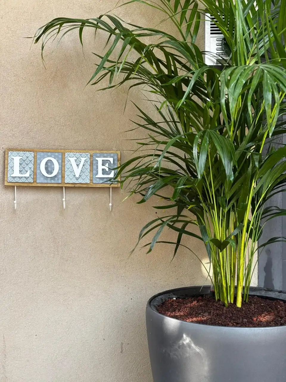 שתילה מחודשת בהתאם לעונות השנה