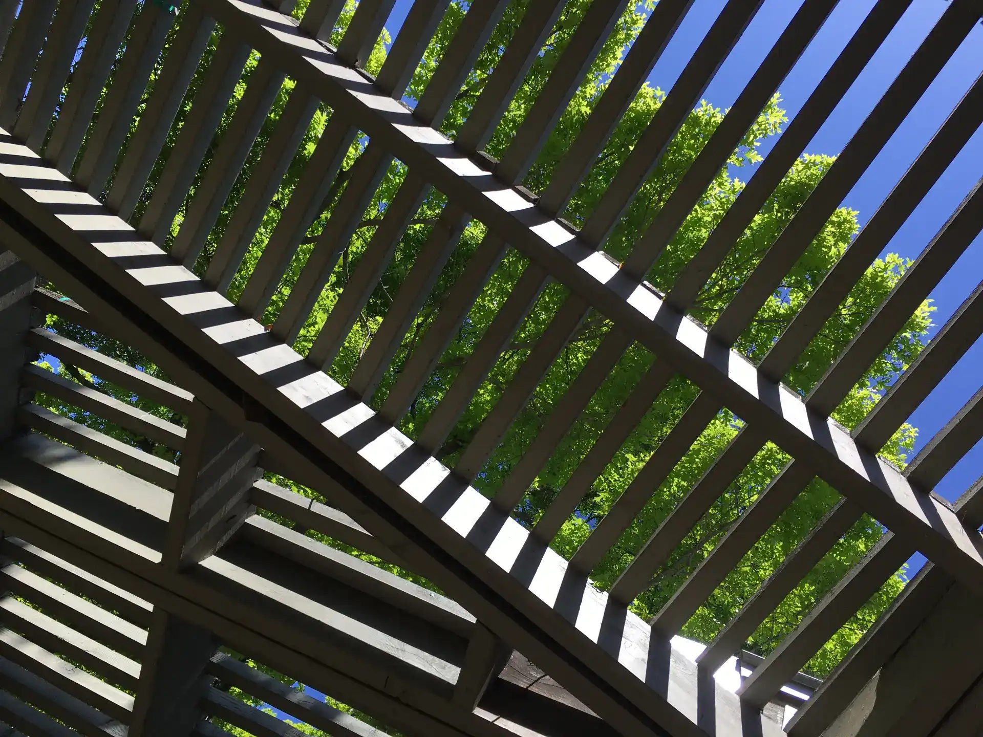 המדריך לבחירת דק או פרגולה שיתאימו לגינה שלכם