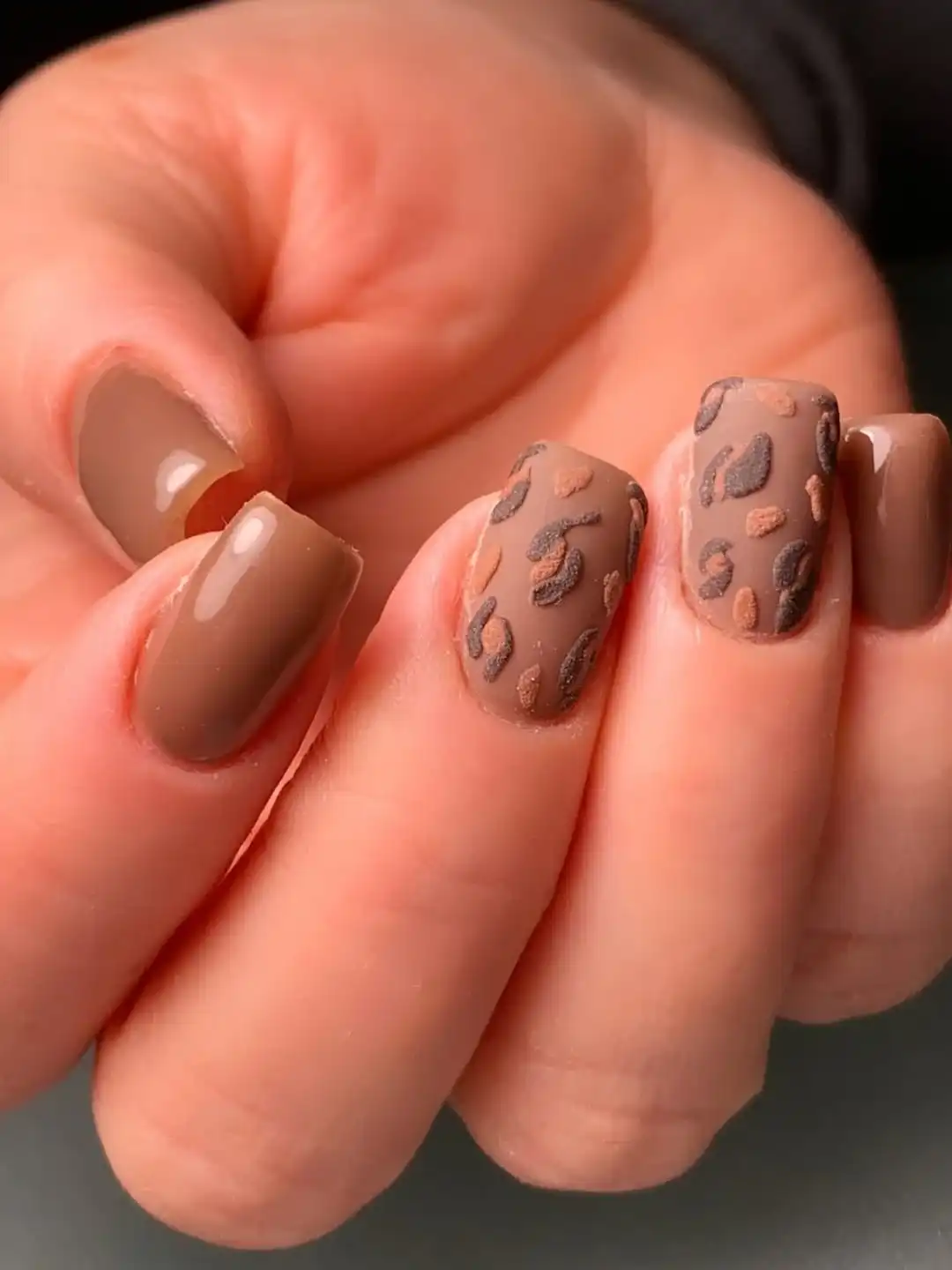 ציפורניים - מבנה אנטומי